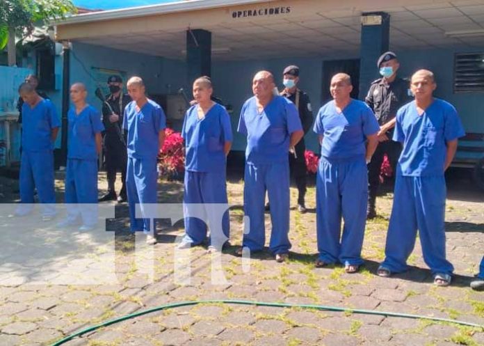 12 sujetos detenidos en Granada