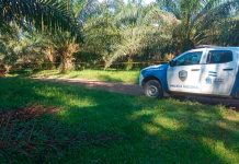 Nueva masacre en Honduras: Torturan y matan a tres hombres en Tocoa