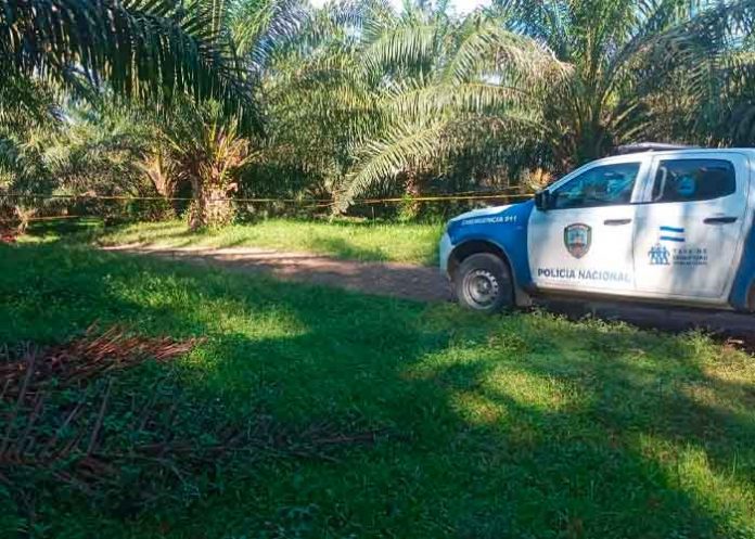 Nueva masacre en Honduras: Torturan y matan a tres hombres en Tocoa