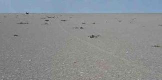 El segundo lago más grande de Turquía se seca por el cambio climático