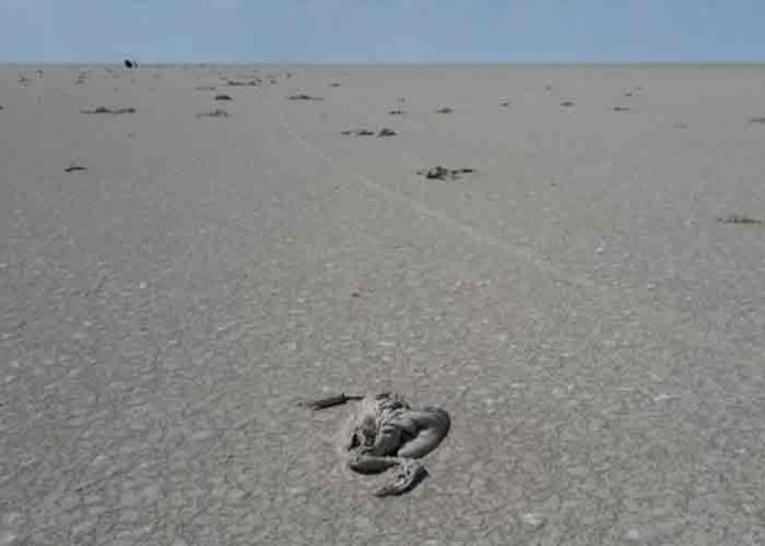 lago-turquia- El segundo lago más grande de Turquía se seca por el cambio climático