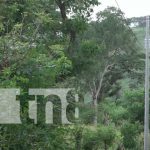79 familias estrenan energía eléctrica en comunidades de Matiguás Familias estrenan energía eléctrica en Matiguas