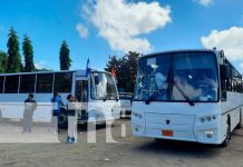 Más buses rusos nuevos circulan en Managua con la flota de Las Jagüitas Nuevas unidades de autobuses para cooperativas en Managua