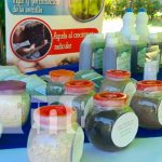 Congreso para exponer las ventajas del marango para la seguridad alimentaria