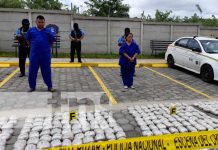 Policía presenta reporte de incautación de marihuana en Mateare