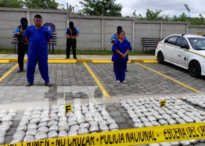 marihuana-managua-6122 Policía presenta reporte de incautación de marihuana en Mateare