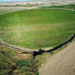 Desmantelan en Toledo, España la mayor plantación de marihuana Desmantelan en Toledo, España la mayor plantación de marihuana