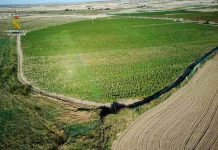 Desmantelan en Toledo, España la mayor plantación de marihuana Desmantelan en Toledo, España la mayor plantación de marihuana