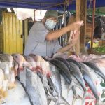 Mercado Israel Lewites con amplia oferta de mariscos y otros productos Sector de mariscos y de venta de otros productos en el Mercado Israel Lewites