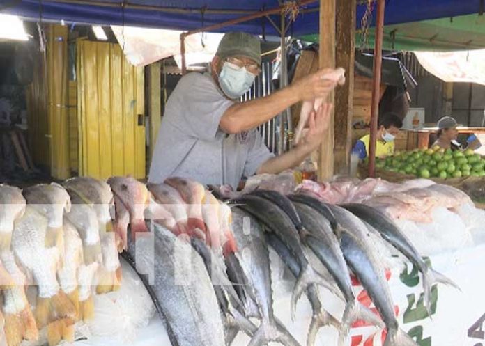 Sector de mariscos y de venta de otros productos en el Mercado Israel Lewites