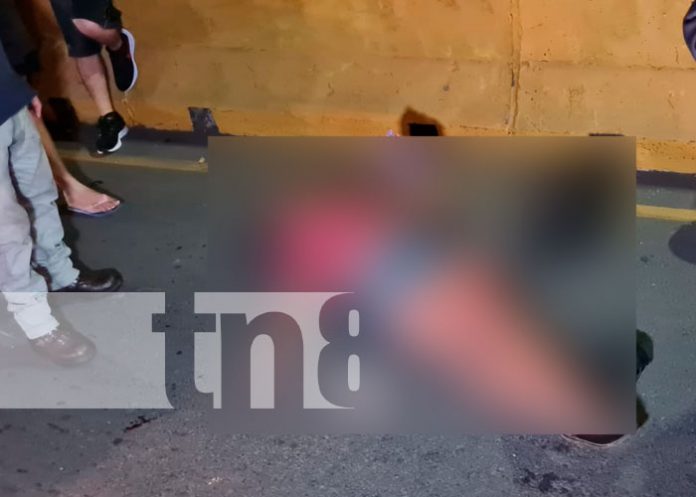 Un perro provocó accidente de tránsito