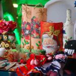 MEFCCA – INTA: Plan para familias durante las fiestas de diciembre MEFCCA - INTA: Plan para familias durante las fiestas de diciembre