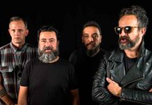 Molotov confirma que trabaja en un nuevo disco Molotov confirma que trabaja en un nuevo disco