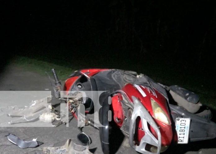 Mula provoca accidente