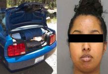 EE.UU: Hallan cadáver de un niño en un baúl, su mamá lo asesinó EE.UU: Hallan cadáver de un niño en un baúl, su mamá lo asesinó