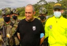 Miembros del Clan del Golfo dieron información para la captura de «Otoniel» Miembros del Clan del Golfo dieron información para la captura de "Otoniel"