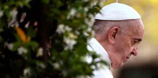 "Es el momento de la vergüenza", dijo el papa por casos de abusos en iglesia
