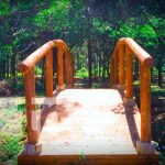 El Charco La Culebra es declarado parque ecológico natural en Nandaime Inauguración de parque ecológico en Nandaime