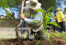 Inauguran parque natural «Paul Oquist» en Ciudad Sandino Nuevo parque natural en Ciudad Sandino, con el nombre Paul Oquist