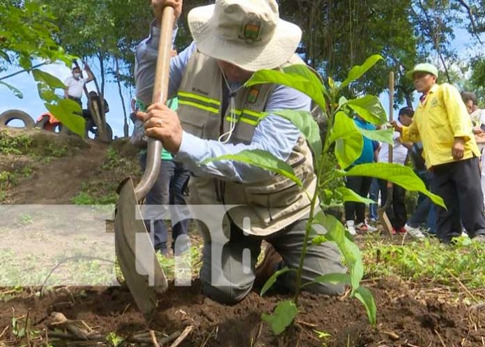 parque-paul-04 Nuevo parque natural en Ciudad Sandino, con el nombre Paul Oquist