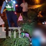 Peatón muere atropellado en la carretera Norte Peatón muere atropellado
