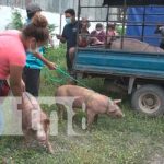 Entregan 200 bonos productivos a familias en Rivas Entregan 200 bonos productivos a familias en Rivas
