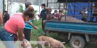 Entregan 200 bonos productivos a familias en Rivas