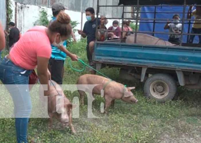 rivas1 Entregan 200 bonos productivos a familias en Rivas