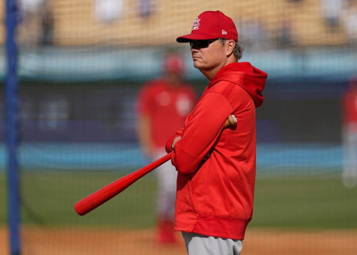 shildt mike, shildt, cardenales, san, luis,