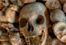 Foto: Cráneo encontrado en China tiene linaje humano desconocido, segùn un estudio publicado en el Journal of Human Evolution / Cortesìa.