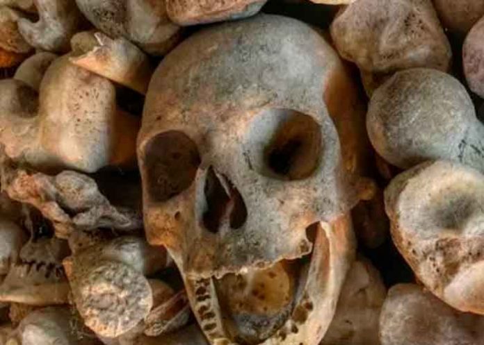 tendencias3 Foto: Cráneo encontrado en China tiene linaje humano desconocido, segùn un estudio publicado en el Journal of Human Evolution / Cortesìa.