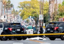 Policía abatió a pistolero tras desatar balacer en Los Ángeles