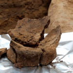 asija para la conservación del vino