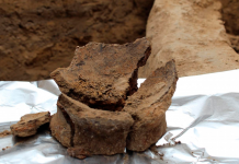 Arqueología: Encuentran una de las bodegas de vino más antiguas de Israel asija para la conservación del vino