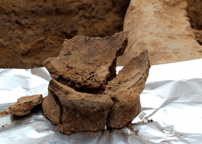 asija para la conservación del vino