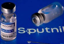 OMS estima reconocer la Sputnik V como vacuna para fin de año OMS estima reconocer la Sputnik V como vacuna para fin de año