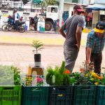 Exitosa feria de la Economía Familiar en Jinotega