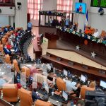 Diputados: Denuncia de carta OEA es un "acto de soberanúa y orgullo patrio"