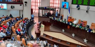 Diputados: Denuncia de carta OEA es un "acto de soberanúa y orgullo patrio"