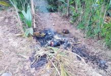 Costa Rica: Banda narco le arrancan la cabeza a un sujeto y lo calcinan