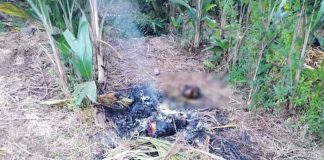 Costa Rica: Banda narco le arrancan la cabeza a un sujeto y lo calcinan