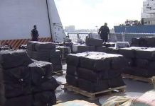 Incautan millonaria suma de dinero en mercancía de sustancias ilícitas en Florida Incautan millonaria suma en mercancía de sustancias ilícitas en Florida.