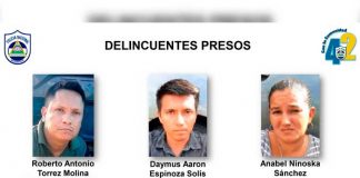 Más de 400 libras de marihuana y tres detenidos en operativo policial