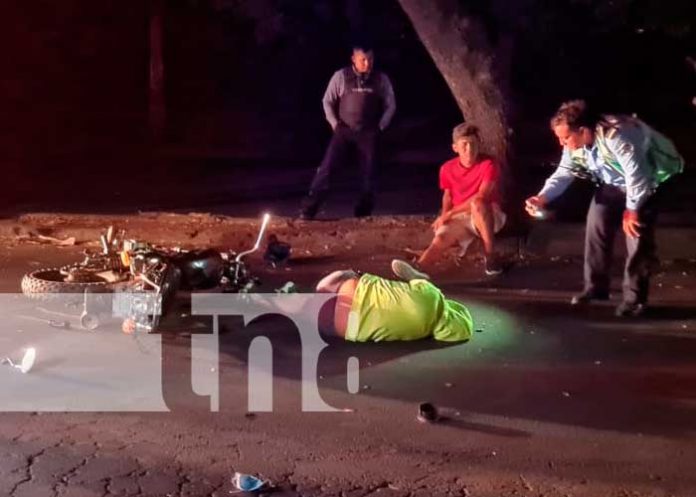 Motociclista perece tras estrellarse contra un árbol