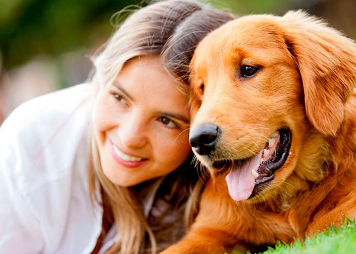 1.2 Descubren que muchos perros ladean la cabeza cuando escuchan a su amo