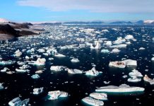 El deshielo de los últimos 10 años en Groenlandia aumentó el nivel del mar El deshielo de los últimos 10 años en Groenlandia aumentó el nivel del mar