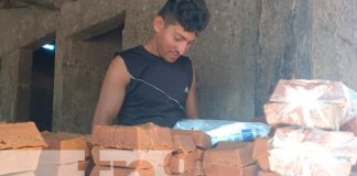 Propietarios de trapiches se preparan para la temporada de dulces