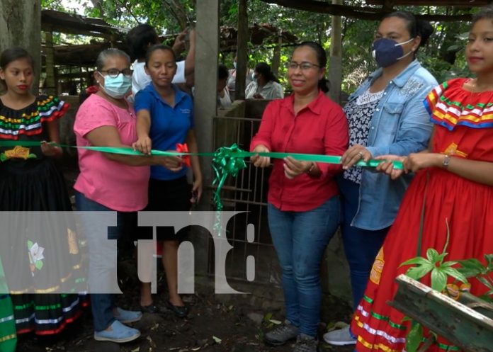 Inauguran dos centros de extracción de material genético porcino en Ometepe