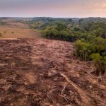 Deforestación en la Amazonia brasileña alcanza cifra récord
