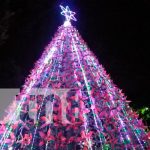 Elaboran el árbol navideño más grande de material reciclable en Bluefields Elaboran el árbol navideño más grande de material reciclable en Bluefields